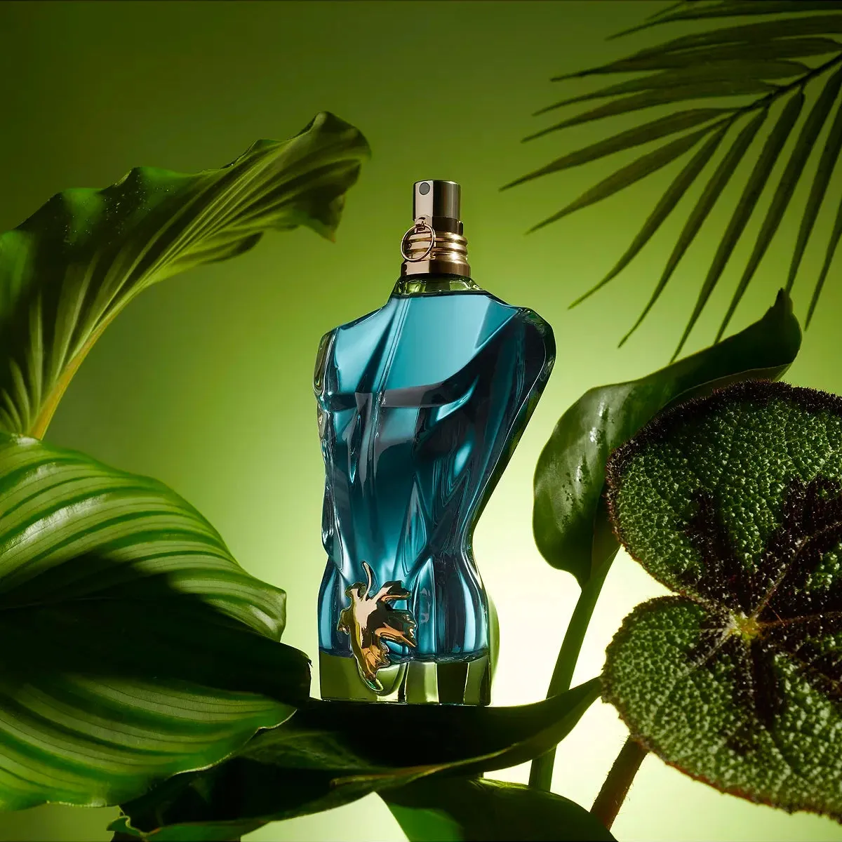 Le Male Le Beau 2.5 oz EDT for men