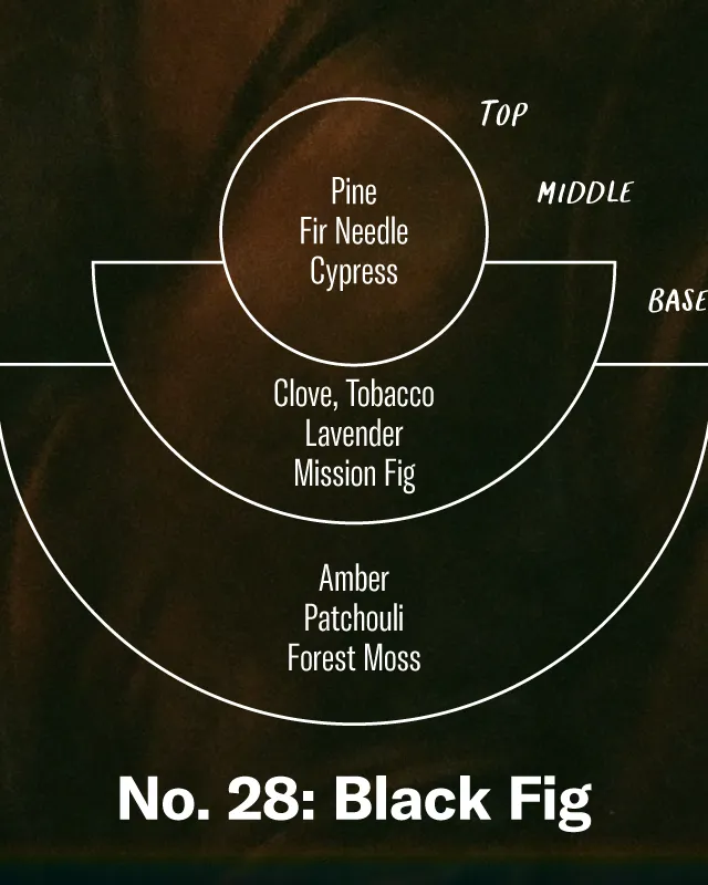 P.F. Candle Co. 7.2oz Standard Jar Candle - Black Fig