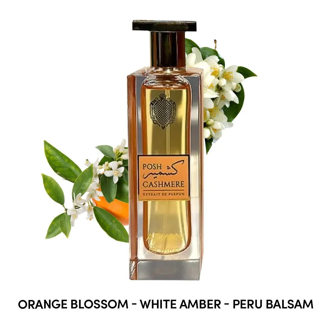 Posh Cashmere by Adyan Eau De Parfum Spray 2.0 oz